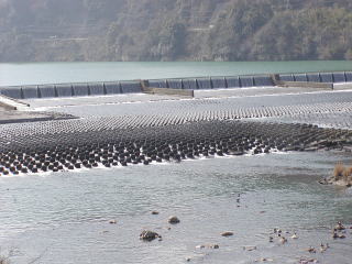 ����s�̋�����