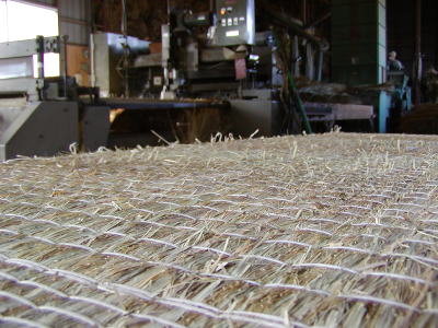 �o�����Ă̘m��